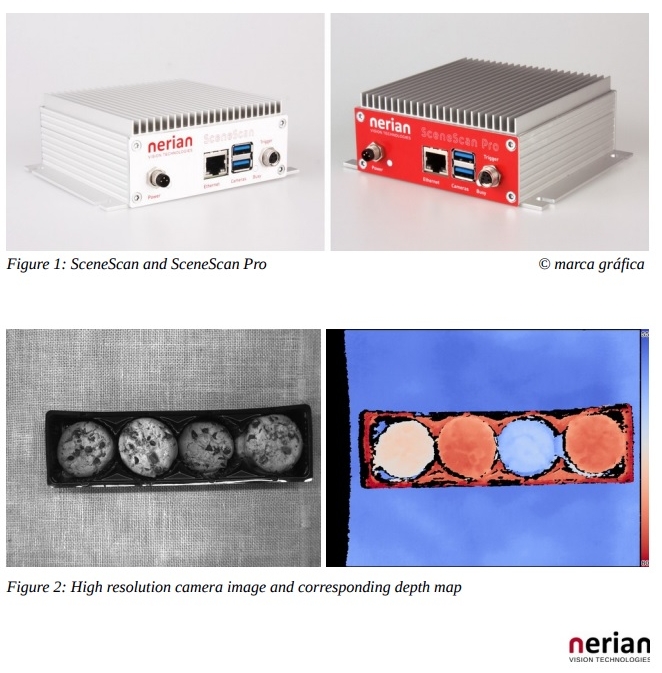 SceneScan: Real-Time 3D Depth Sensing Through Stereo Vision